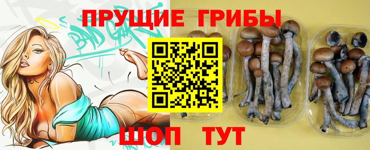 сколько стоит  Вход с VPN  Каспийск  Псилоцибиновые грибы MAGIC MUSHROOMS 